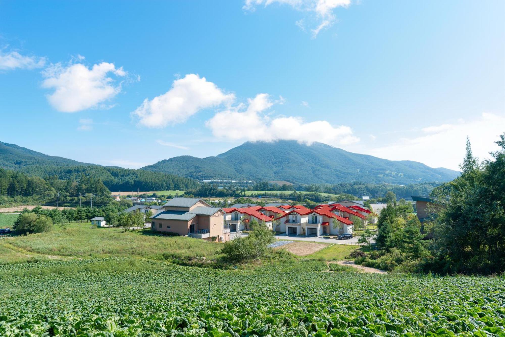 Le Comte Bleu Hotell Pyeongchang Eksteriør bilde